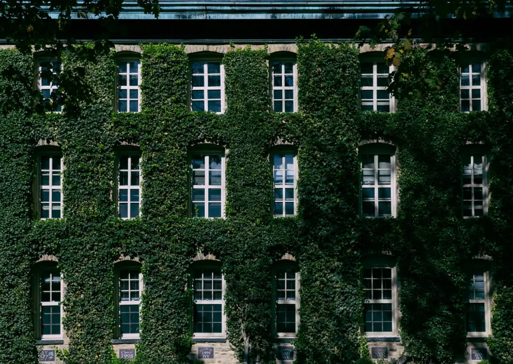 Ivy-covered walls at Princeton University