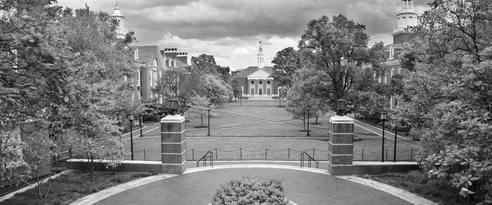 Johns Hopkins University Hero