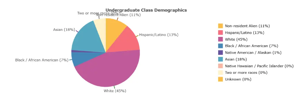 Undergraduate class demographics